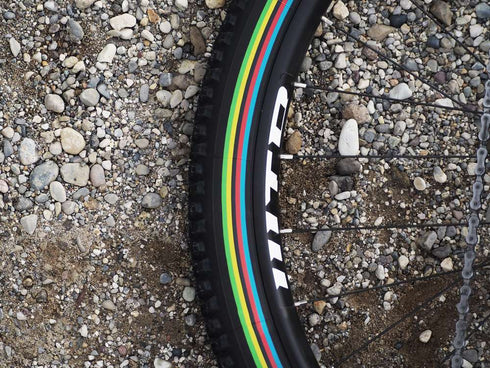 Vittoria Barzo UCI TLR