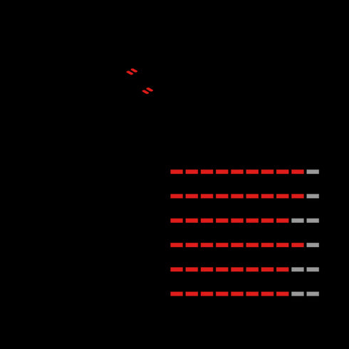 Vittoria Mezcal XC race