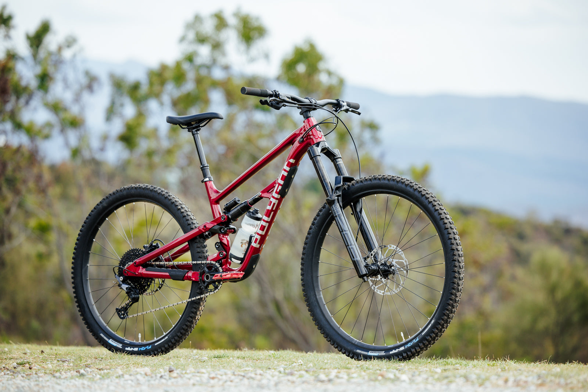 Polygon Frame Polygon Bikes – JanjiRide.SG