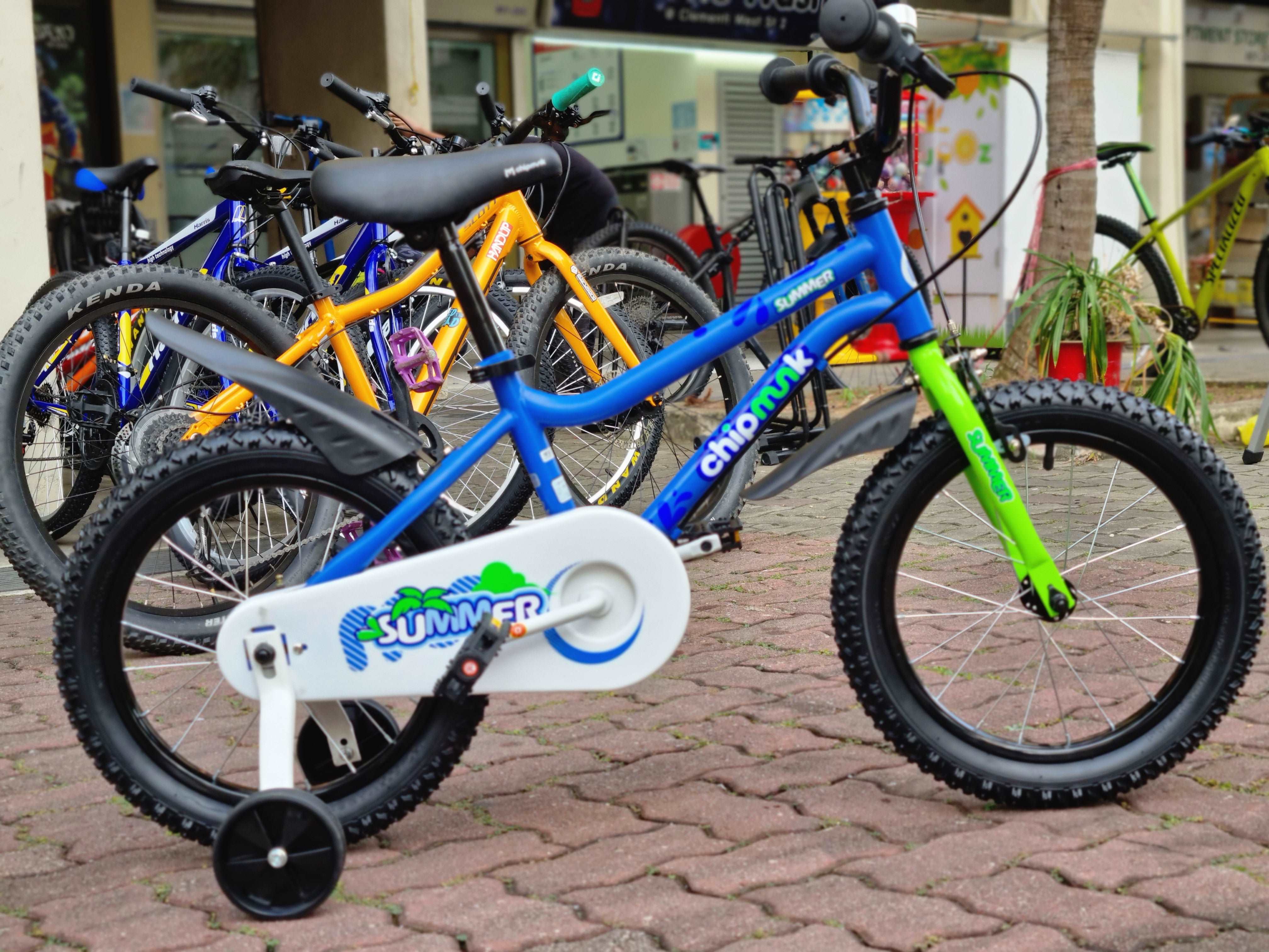 chipmunk kinderfahrrad RoyalBaby Chipmunk MK Summer Series – JanjiRide.SG
